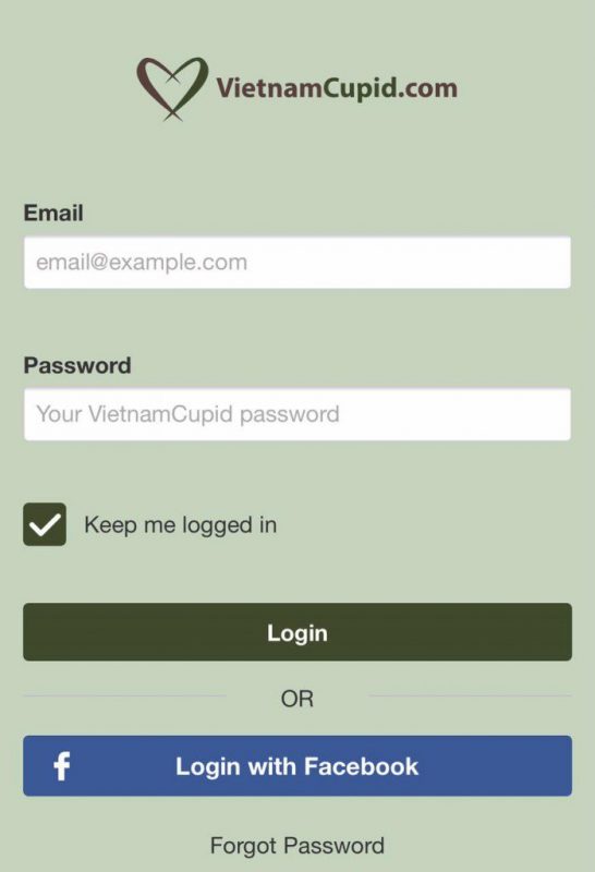 vietnamcupid com